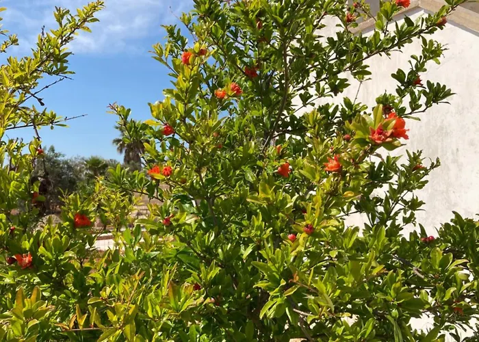 Apartment Casa Palmieri Marina di Mancaversa