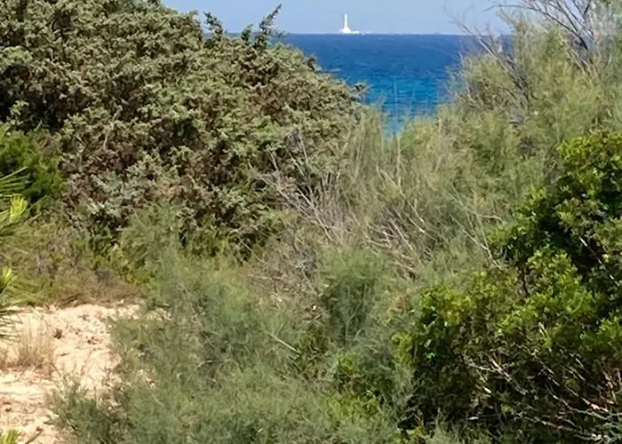 Apartment Casa Palmieri