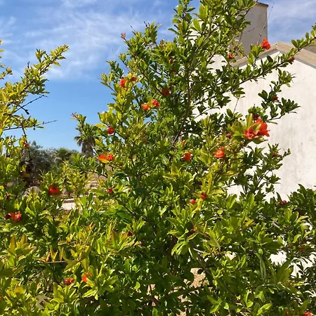 شقة Casa Palmieri مارينا دي مانكافيسا